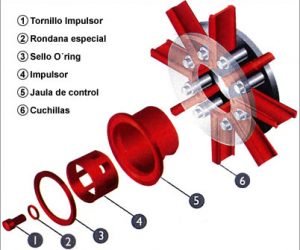 20110905090656_77155200